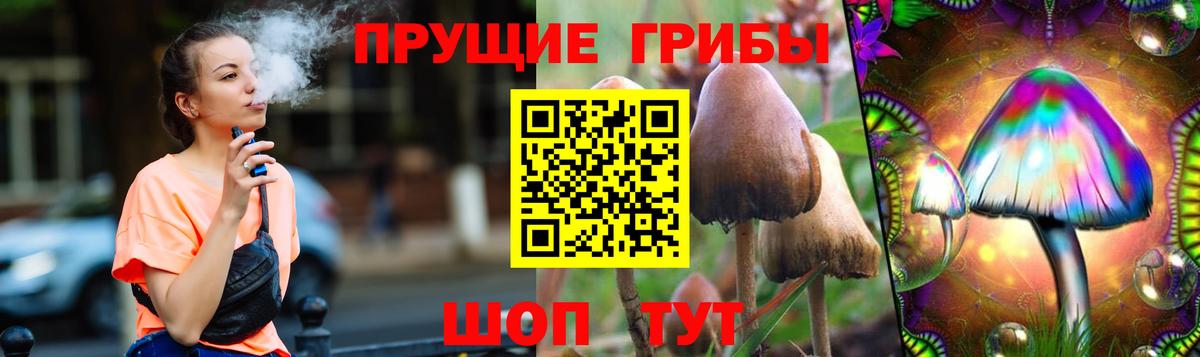 Ржев  Галлюциногенные грибы GOLDEN TEACHER  Вход с VPN 